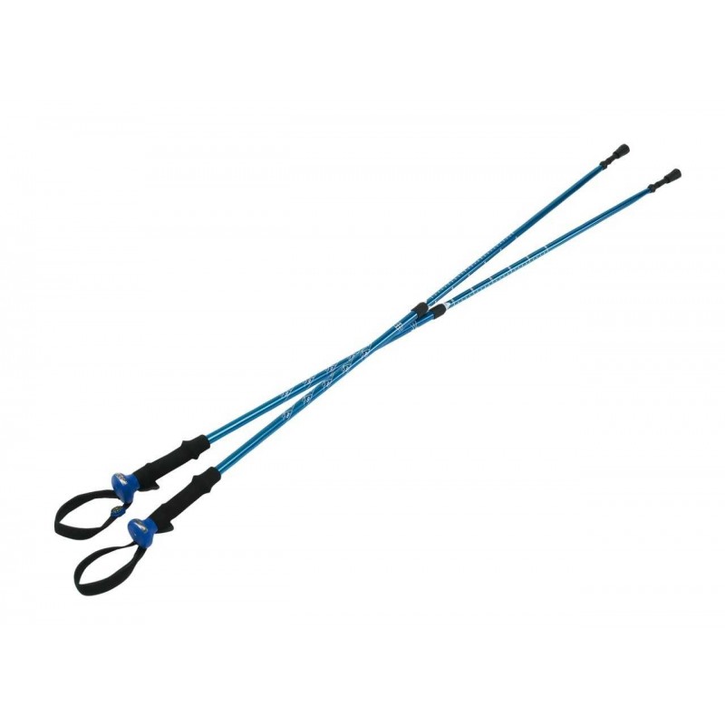 MOUNTAIN nordic walking bot